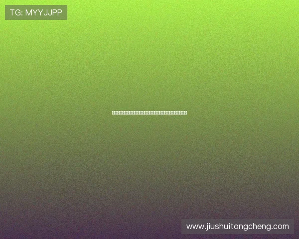 使用开运体育登录入口快速查阅世界杯各场比赛详细数据与统计信息